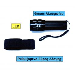 &Phi;&Alpha;&Kappa;&Omicron;&Sigma; LED ZOOM